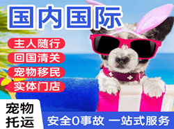 丹东航空邮寄国际宠物托运 【国